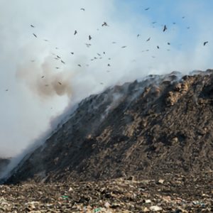 Compost-capabilities2