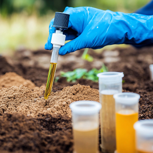 Nutrient-Optimization